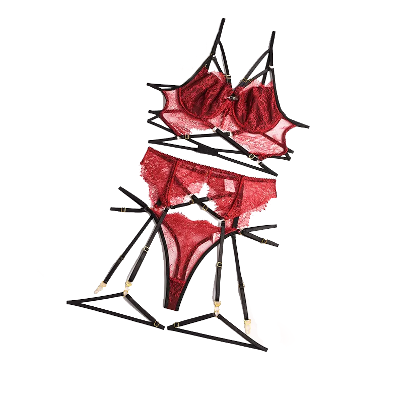 Sheer Bra Lace - 女性のためのセクシーなレースのランジェリーセット,エロティックな下着,透明なブラとガーター付き,パジャマ,新しいコレクション